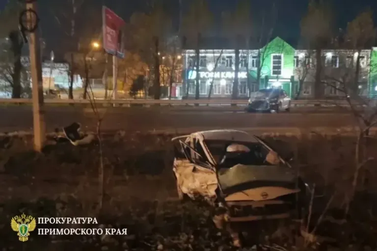 В Уссурийске в ДТП погибли двухлетний ребёнок и мужчина