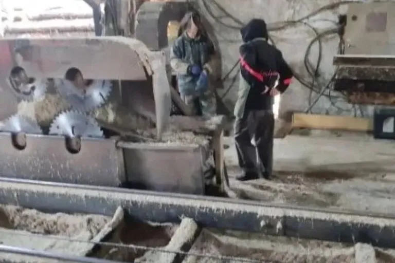 В Чугуевском районе после рейдов наказали 57 иностранцев