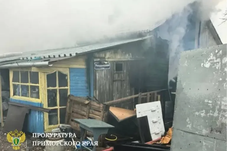 В Михайловке при пожаре погиб двухлетний ребёнок