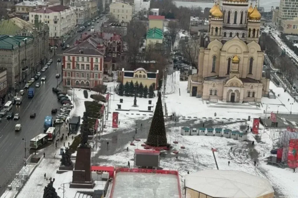 Во Владивостоке главную 20-метровую ель установят до 17 декабря